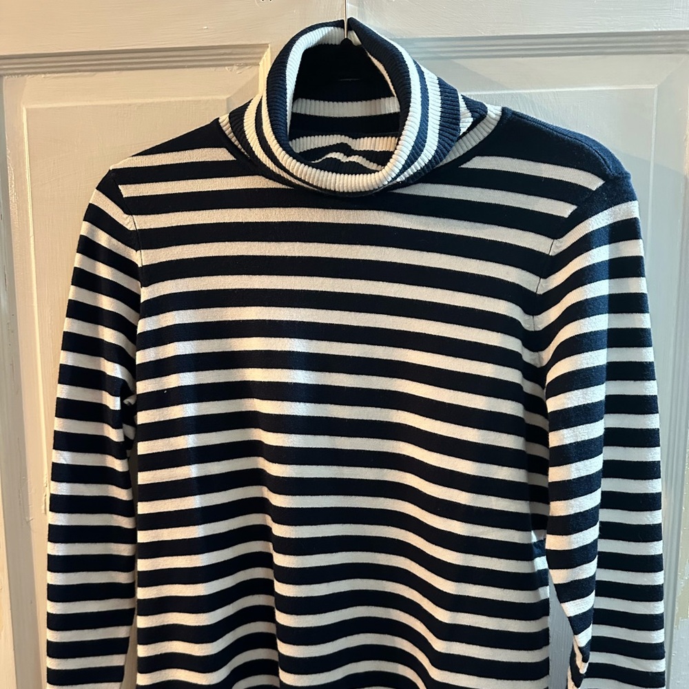 Striped Navy and White Soft Turtleneck Sweater